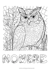 Colorear para personalizar Búho Animales Aves y mamíferos voladores Mosaicos