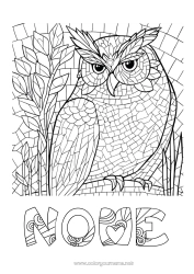 Desenho grátis Coruja Animal Pássaros e mamíferos voadores Mosaicos