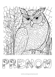 Coloriage gratuit Chouette, Hibou Animal Oiseaux et mammifères volants Mosaïques
