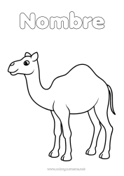 Colorear para personalizar Animales Dibujos fáciles para colorear Animales salvajes de África Camello, dromedario