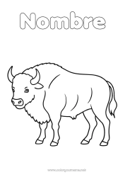 Colorear para personalizar Animales Dibujos fáciles para colorear Otros animales del mundo Bisonte