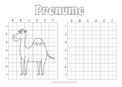 Pagină de colorat personalizată Activități pentru copii Animal Animale sălbatice din Africa Simetrie Cămilă, dromader Desen pe grilaj