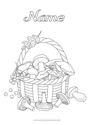 Free colouring Autumn Mushroom Basket