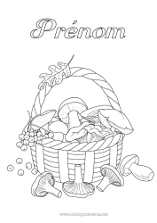 Coloriage gratuit Automne Champignon Panier