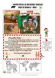 Desenho para personalizar Tigre Animal Animais selvagens da África Viagem do Elfo de Natal Cartão postal Cartão postal de um único duende Índia