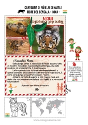 Disegno gratuito Tigre Animale Animali selvatici dell'Africa Viaggio dell'elfo di Natale Cartolina Cartolina di vari elfi India