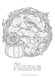 Colouring to customise Pumpkin Bird Autumn Animal Sunflower Complex Colouring Pages Birds And Flying Mammals Great Tit