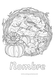 Colorear gratis Calabaza Pájaro Otoño Animales Girasol Dibujos complejos para colorear Aves y mamíferos voladores Carbonero, Herrerillo