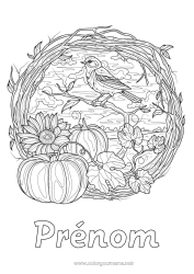 Coloriage gratuit Citrouille Oiseau Automne Animal Tournesol Coloriages complexes Oiseaux et mammifères volants Mésange