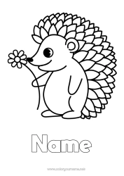 Colouring to customise Flowers Hedgehog Animal Easy Colouring Pages Forest Animals