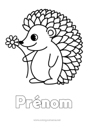 Dessin gratuit Fleurs Hérisson Animal Coloriages faciles Animaux de la forêt