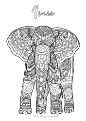 Kolorowanka za darmo Słoń Zwierzę Złożone kolorowanki Zentangle Dzikie zwierzęta Afryki Indie