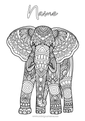 Free colouring Elephant Animal Complex colouring pages Zentangle Wild animals of Africa India