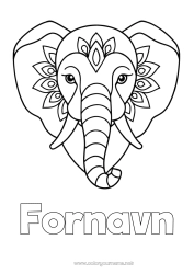Gratis tegning Elefant Dyr Nem farvelægning Afrikanske vilde dyr Indien