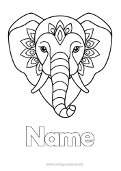 Colouring to customise Elephant Animal Easy Colouring Pages Wild Animals Of Africa India