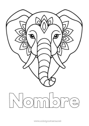 Colorear para personalizar Elefante Animales Dibujos fáciles para colorear Animales salvajes de África India