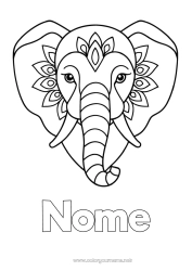 Disegno gratuito Elefante Animale Disegni da colorare facili Animali selvatici dell'Africa India