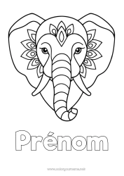Coloriage gratuit élephant Animal Coloriages faciles Animaux sauvages d'Afrique Inde