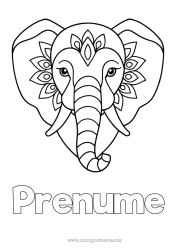Pagină de colorat gratuită Elefant Animal Desene de colorat ușoare Animale sălbatice din Africa India