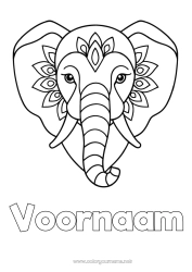 Gratis kleurplaat Olifant Dier Eenvoudige kleurplaten Wilde dieren van Afrika India