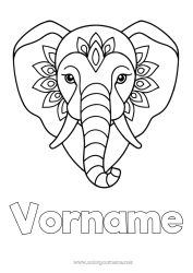 Malvorlage anpassen Elefant Tier Einfache Ausmalbilder Wilde Tiere Afrikas Indien