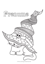 Desen liber de colorat Pisică Halloween Animal Pălărie Zentangle Câini și pisici