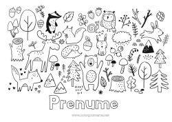 Pagină de colorat personalizată Urs Bufniță, Uluce. Iepure Animal Păsări și mamifere zburătoare Animale din pădure Pădure Cerb Râs Butuc de copac