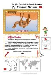 Dibujo libre Animales salvajes de África Viaje del duende navideño Tarjeta postal Camello, dromedario Tarjeta postal de un SOLO duende Marruecos