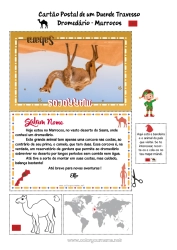 Desenho para personalizar Animais selvagens da África Viagem do Elfo de Natal Cartão postal Camelo, dromedário Cartão postal de um único duende Marrocos