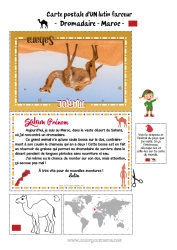 Dessin gratuit Animaux sauvages d'Afrique Voyage de l'elfe de Noël Carte postale Chameau, dromadaire Carte postale d'un SEUL lutin Maroc