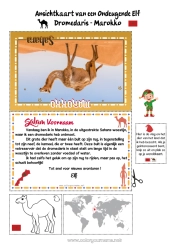 Kleurplaat aanpassen Wilde dieren van Afrika Kerstelfreis Ansichtkaart Kameel, dromedaris Ansichtkaart van één enkele elf Marokko