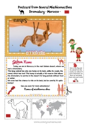 Colouring to customise Animal Wild Animals Of Africa Mischievous Elf's Journey Postcard Camel, Dromedary Postcard Of Multiple Elves Morocco Several Mischievous Elves.