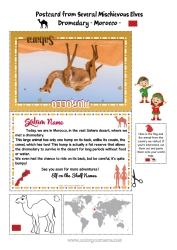 Free drawing Wild animals of Africa Elf on the Shelf Trip Postcard Camel, dromedary Postcard of SEVERAL elves Morocco