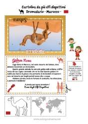 Colorare per personalizzare Animali selvatici dell'Africa Viaggio dell'elfo di Natale Cartolina Cammello, dromedario Cartolina di vari elfi Marocco