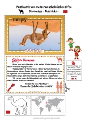 Kostenlose Zeichnung Wilde Tiere Afrikas Reise des Weihnachtselfen Postkarte Kamel, Dromedar Postkarte von mehreren Elfen Marokko