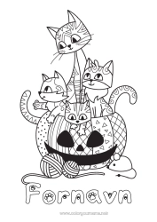 Gratis fargelegging Gresskar Katt Halloween Mus Jack O'Lantern Dyr Zentangle Hunder og katter Skogsdyr