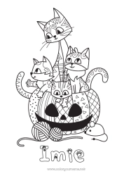 Kolorowanka za darmo Dynia Kot Halloween Mysz Jack O'Lantern Zwierzę Zentangle Psy i koty Zwierzęta leśne