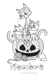 Colorear gratis Calabaza Cat Halloween Ratón Jack O'Lantern Animales Zentangle Perros y gatos Animales del bosque