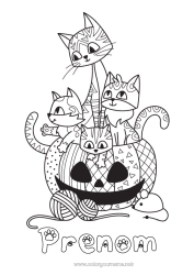 Coloriage à personnaliser Citrouille Chat Halloween Souris Jack O'Lantern Animal Zentangle Chiens et chats Animaux de la forêt