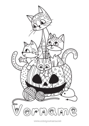 Kostenlose Malvorlage Kürbis Katze Halloween Maus Kürbis Tier Zentangle Hunde und Katzen Waldtiere