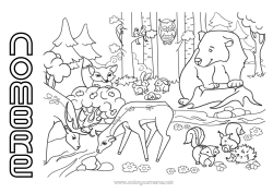 Colorear gratis Llevar Ardilla Zorro Búho Animales Aves y mamíferos voladores Animales del bosque Ciervo