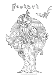 Gratis tegning Flagermus Græskar Sort kat Græskarlampe Zentangle Fugle og flyvende pattedyr