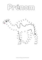 Coloriage à personnaliser Chiffre Activités enfants Animal Points à relier Animaux sauvages d'Afrique Chameau, dromadaire Nombres à Relier