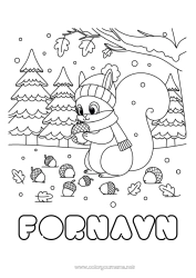 Gratis tegning Sne Egern Dyr Skovens dyr Kogle Skov Vinterhue