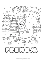 Coloriage gratuit Neige écureuil Animal Animaux de la forêt Gland Forêt Bonnet d'hiver