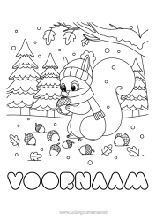 Gratis kleurplaat Sneeuw Eekhoorn Dier Bosdieren Eikel Bos Wintermuts