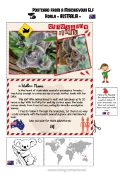 Colouring to customise Animal Koala Australia Other Animals Of The World Mischievous Elf's Journey Postcard Postcard Of A Single Elf A Single Mischievous Elf Animals Of Australia