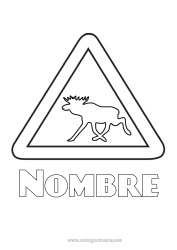 Dibujo libre Reno Animales Canadá Animales del bosque Finlandia Suecia Noruega