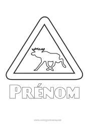 Coloriage gratuit Renne Animal Canada Animaux de la forêt Finlande Suède Norvège