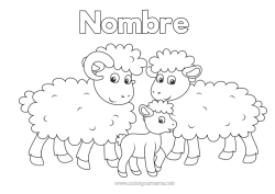 Colorear para personalizar Ovejas Animales Dibujos fáciles para colorear Animales de granja Familia